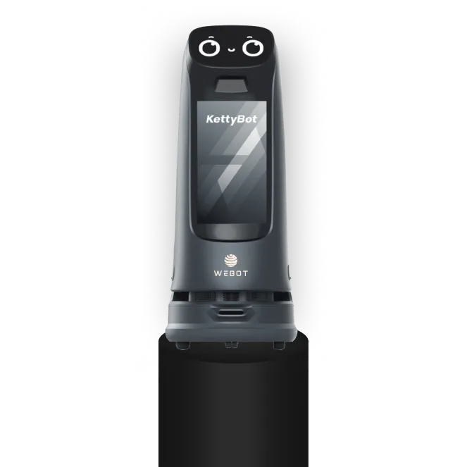 WeBots KettyBot höjpunkter
