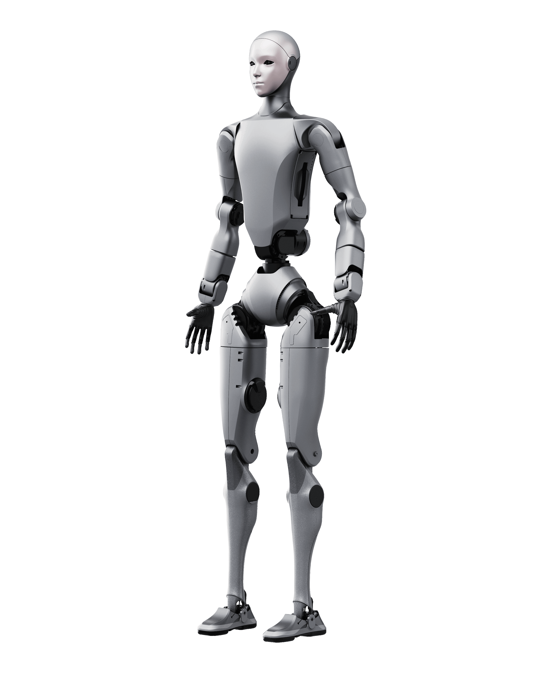 Emboided humanoid with bionic face