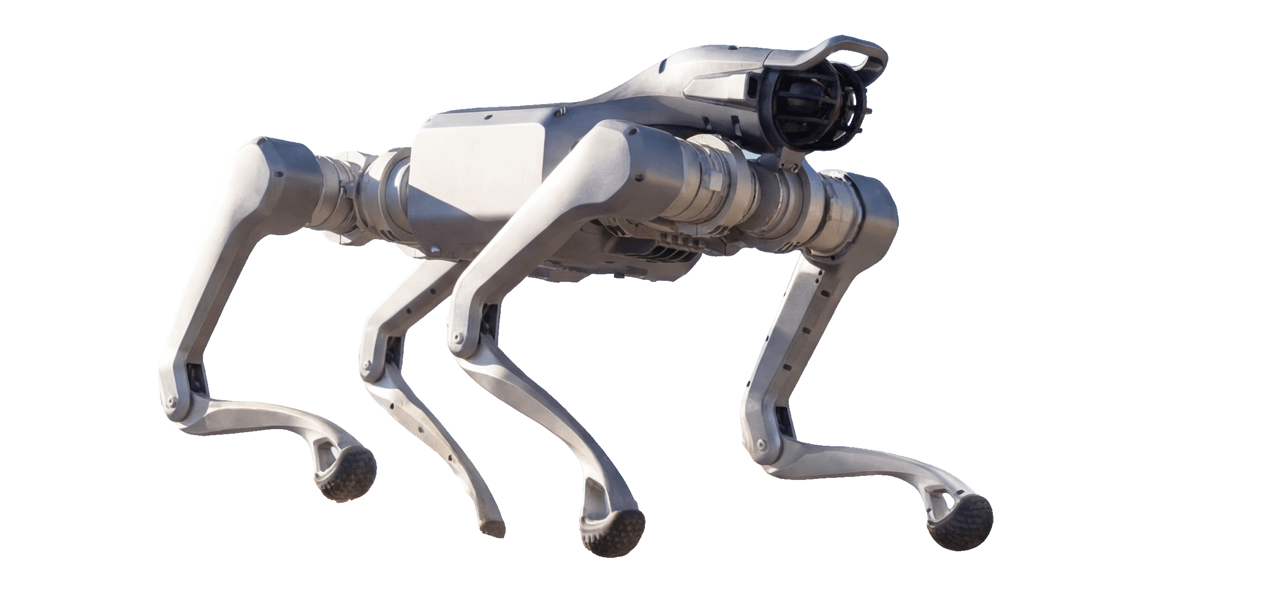 Advanced Quadruped Inspection Solutions